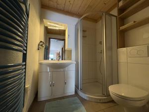 a bathroom with a shower and a toilet and a sink at Ferienwohnung Heissl in Fieberbrunn +31 photos