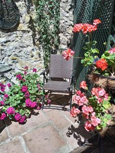 a chair sitting next to a bunch of flowers at Copper Mine Cottage in Llandudno