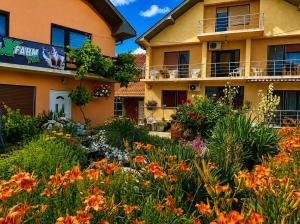 a garden in front of a building with flowers at Nina Apartments in Negotin
