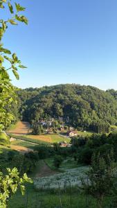 a view of a hill with a village in a field at Chalet Le Klet in Krapinske Toplice