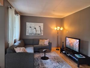 a living room with a couch and a television at Sjarmerende hus i havgapet i Selje in Salt