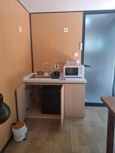 a small kitchen with a sink and a microwave at FALCOARIA Eco in Setúbal