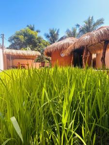 a house with a straw roof and a field of grass at AAA Happy Hostel in Arugam Bay