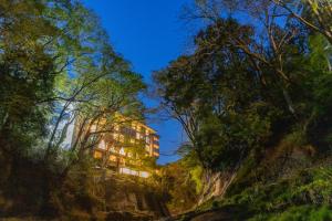 ein Gebäude inmitten eines Waldes in der Unterkunft Hotel Miyama in Chichibu