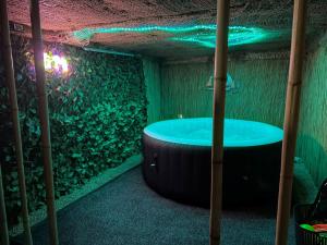 a room with a large aquarium with a tub at Vila Zeus in Cristian