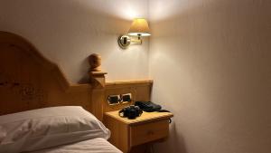 a bedroom with a bed with a lamp and a camera at Chalet Al Lago in San Vito di Cadore