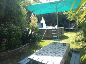 a dog sitting in a hot tub under an umbrella at Toplocatie voor je workshop! Of grote gezin! Zwembad! in Hurwenen