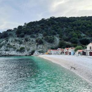 a dog standing on a beach next to the water at Crveni apartman in Cres +9 photos