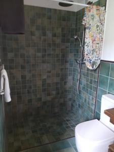 a bathroom with a shower with a toilet at Eguzkitze Habitacion Rural Independiente in Abaltzisketa