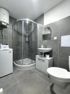 a bathroom with a shower and a toilet and a sink at Studio11 in Medzilaborce