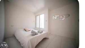 a white room with a bed and a window at Maison orchidée in Nîmes +29 photos