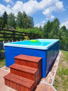 a blue pool with a green frisbee in it at Dom w górach na wyłączność Agro Zibi in Korbielów
