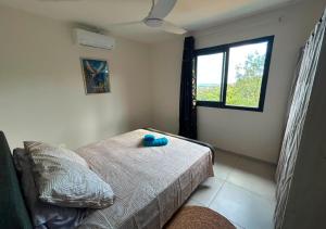 a bedroom with a bed and a window at La Villa Bleu Lagon in Petite Île
