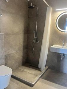 a bathroom with a shower and a toilet and a sink at Golden Beach Sea View in Nea Mesangala