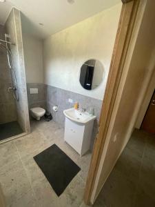 a bathroom with a sink and a toilet and a mirror at Pušų Sodas in Birštonas +36 photos