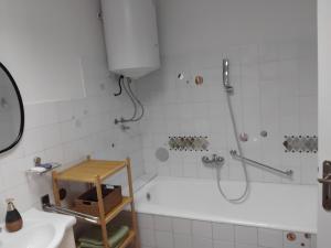 a bathroom with a shower and a bath tub at Ksandra in Topla +13 photos