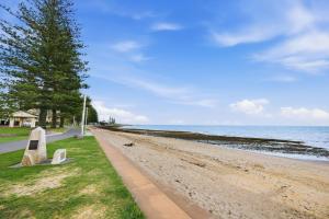 a sandy beach with a bench next to the ocean at Lovely Hidden Gem in Redcliffe in Redcliffe