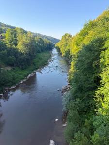 an aerial view of a river with trees at Hotel palas tatarıv in Tatariv