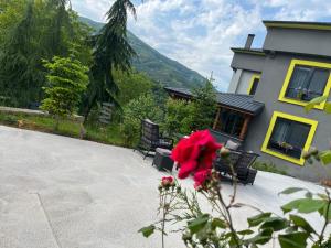 a house with a red flower in front of it at Ömer bey konak in Akcaabat