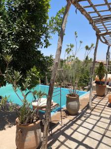 a view of a pool with potted plants and a pergola at dar boumida in Lalla Takerkoust