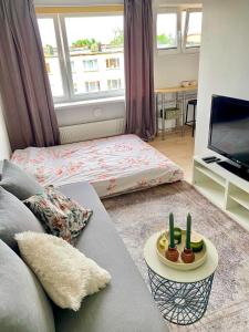 a living room with a couch and a tv at Väikekorter in Pärnu