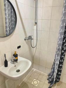 a bathroom with a sink and a shower at Väikekorter in Pärnu +9 photos
