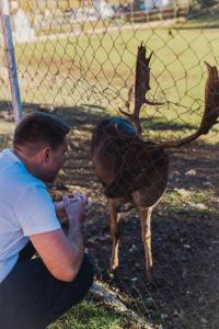 a man is petting a deer behind a fence at IMANJE JELEN in Nikšić +16 photos