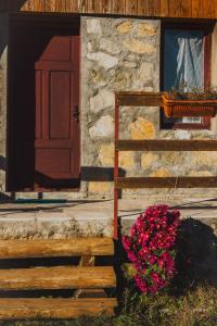 a house with a wooden door and a bunch of flowers at IMANJE JELEN in Nikšić