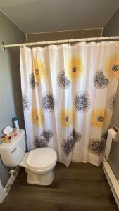 a bathroom with a toilet and a shower curtain at Le Milka I in Longueuil +19 photos