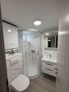 a bathroom with a shower and a toilet and a sink at Apartments Šestan in Novalja +57 photos