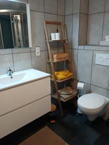 a bathroom with a sink and a toilet and a shelf at Le petit Broux in Aywaille +9 photos