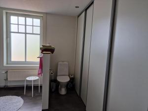a bathroom with a toilet and a window at Manus Ferienwohnung in Brevik +13 photos