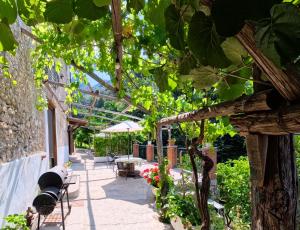 a patio with a bunch of trees and plants at Casale Gelsi in Maiori