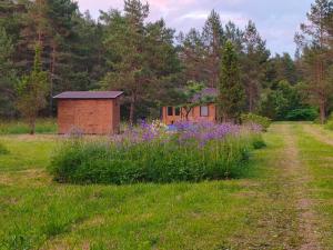a building in the middle of a field with purple flowers at Puhkemökk in Sõmera