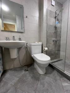 a bathroom with a toilet and a sink and a shower at Bakuriani Hotel Apartments 301 in Bakuriani +35 photos