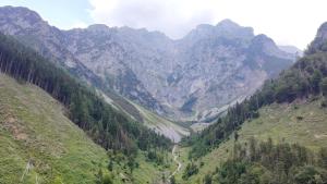 a view of a mountain valley with trees and a road at Mountain Getaway Panoramic View - Pets Welcome in Gromo