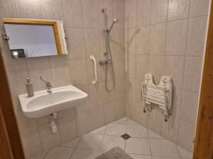 a bathroom with a sink and a shower at Diófa Vendégház in Eger +36 photos
