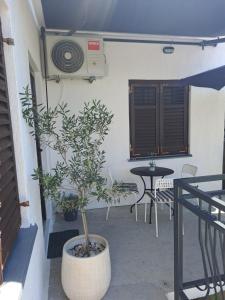 a plant in a pot next to a table with a fan at Lucija in Pridraga