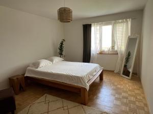 a bedroom with a bed and a large window at Apartment in Stäfa in Stäfa