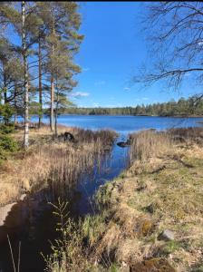 a view of a body of water with trees at Mysigt hus på 40 kvm i Målaskog in Ryssby