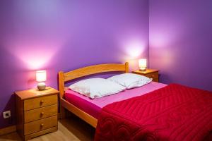 a bedroom with purple walls and a bed with a red blanket at gite les ducs in Mialanes