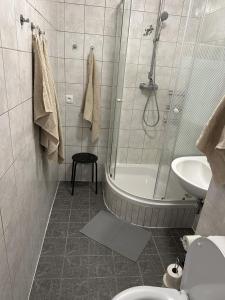 a bathroom with a shower and a toilet and a sink at Apartmán Volary in Volary +16 photos