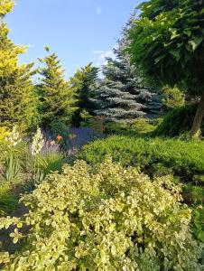 a garden with flowers and trees in the background at Дом на Одесской ул. in Chornomorsk +9 photos