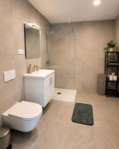a bathroom with a toilet and a sink and a shower at The River House in Mavčiče +19 photos
