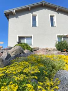 a house on a hill with yellow flowers at Apartmány Branná hodnocení 10 Wellness Vleky 5 min in Horní Branná