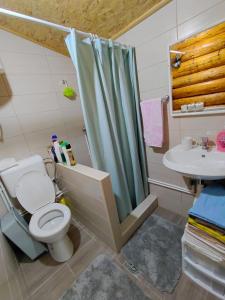 a bathroom with a shower and a toilet and a sink at Beco's Place in Plav +34 photos