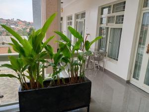 a black container with plants in it on a balcony at Peaceful Home in Kigali