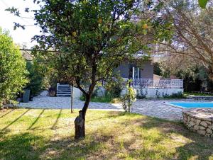 a tree in the yard of a house at Iris Villa in Apolpaina