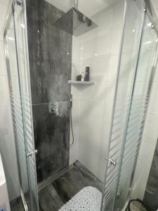 a shower with a glass door in a bathroom at Ferienwohnung Otterberg in Otterberg +12 photos