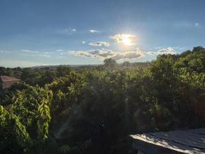 a view of a forest with the sun in the sky at Sargis guest house in Ushi +3 photos